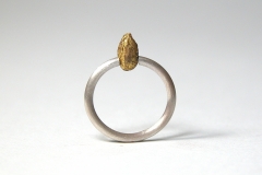 ring "forbidden fruit", silver, apple seed, gilded
